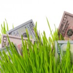 Money in lawn care